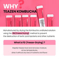 Teazen 4 Flavors 40 Sticks Variety Pack Kombucha Lemon Berry Mango Guava (30 Sticks) & Grapefruit Powdered Drink Mix (10 Sticks)