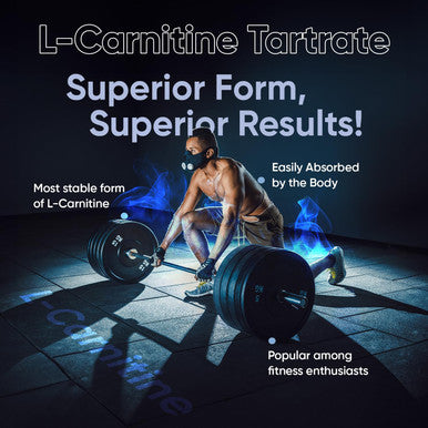 Weightworld L Carnitine Capsules 2000mg (666mg per Capsule) | High Performance L-Carnitine Supplement for Pre & Post Workout | Non-GMO & Vegan L Carnitine Tartrate for Energy