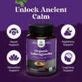 Natures Craft High Strength Organic Ashwagandha Supplements - Calm Mood Support Ashwagandha with Black Pepper for Enhanced Absorption - Vegan and Non-GMO (120 Tablets)