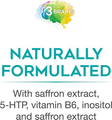 3 Brains by Natural Factors Mental Sunshine Promotes Healthy Mood Balance Daily Dietary Supplement Vegan 90 Enteric Coated Tablets 90 Servings