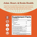 Natures Craft Turmeric Curcumin Immune Support Gummies - Immune Booster Turmeric Gummies for Joint Support and Advanced Skin Care - Turmeric with Black Pepper Joint Supplement Gummy Vitamins with Curcumin Powder