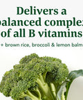MegaFood Kids B Complex - B Complex Vitamin Supplement - 8 B Vitamins With Vitamin B6 Vitamin B12 Folate Biotin & More - Supports Cellular Energy Production - Vegetarian Gluten Free - 30 Mini Tabs