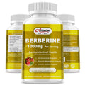 Alliwise Berberine Supplement - 1000Mg Berberine With Ceylon Cinnamon, Milk Thistle & Turmeric Extract, Organic Herbal Formula Support Gastrointestinal Function, Cardiovascular & Glucose Metabolism