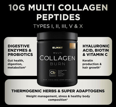 ELMNT Premium Chocolate Collagen for Women Weight Loss & Beauty w. Probiotics, ACV, KSM66, Hyaluronic Acid, Biotin & Patented Multi Collagen Peptides Protein Powder - Colageno Hidrolizado for Women