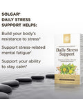 Solgar Daily Stress Support 60 Vegetable Capsules - Build Resistance To Stress & Mental Fatigue - Support Ability To Stay Calm - Contains Clinically-Studied Rhodiola & B-Complex Non-Gmo 60 Servings
