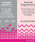 NeoCell Super Collagen Powder, 6,600mg Types 1 & 3 Grass-Fed Collagen, Gluten , Berry Lemon Flavor, 6.7 Ounces (Package May Vary)