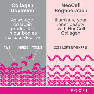 NeoCell Super Collagen Powder, 6,600mg Types 1 & 3 Grass-Fed Collagen, Gluten , Berry Lemon Flavor, 6.7 Ounces (Package May Vary)