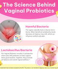 GMOLARSUSCO Feminine Probiotics Gummies for Women Vaginal Probiotics Feminine Balance pH Gummies for Healthy Odor Yeast Balance Flora Gut Health Immune System with Slippery Elm Prebiotics & Lactobacillus Bl 60 Gummies