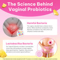 GMOLARSUSCO Feminine Probiotics Gummies for Women Vaginal Probiotics Feminine Balance pH Gummies for Healthy Odor Yeast Balance Flora Gut Health Immune System with Slippery Elm Prebiotics & Lactobacillus Bl 60 Gummies