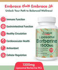 Liposomal Berberine Hcl - Berberine 1500Mg Activates Ampk & Glp-1, High Bioavailability Berberines Supplement For Women And Men, Berberine Plus Overall Health Support (1 Pack)