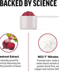 Force Factor Total Beets Drink Mix Superfood Powder with Nitrates to Support Circulation Blood Flow Nitric Oxide Energy Endurance and Stamina Cardiovascular Heart Health Supplement 30 Servings