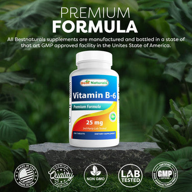 Best Naturals Vitamin B-6 25 Mg Tablets 250 Count