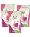 SOL SIMPLE Organic Dried Dragon Fruit | 3oz Snack Pack (3 Bags Total) | One Ingredient | Vegan | Non-GMO | No Added Sugar | Dried Fruit No Sugar Added