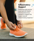 Irwin Naturals Inflamma-Less, Promotes Comfort, Mobility & Flexibility, 80 Liquid Softgels