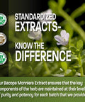 Bronson Bacopa Monnieri Extract 500 mg - Promotes Mental Clarity and Brain Function - Non GMO, 90 Vegetarian Capsules