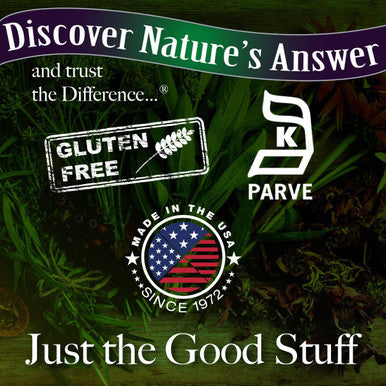 Nature'S Answer Angelica Root 1 Ounce - Organic Low Alcohol Female Wellness Support Gluten- Kosher - Made in USA - Liquid Extract