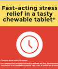 Nature Made Chewable L Theanine 200Mg L-Theanine Supplement For Stress Relief 50 Chewable Tablets 50 Day Supply