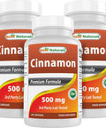 Best Naturals Cinnamon 500 mg 250 Capsules (250 Count (Pack of 3))