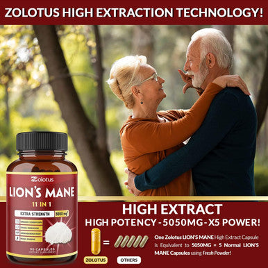 2 Packs Lions Mane Mushroom Capsules, Equivalent to 5050mg, 6 Month Supply with Cordeyceps, Reishi, Ashwagandha, Panax Ginseng, Focus, Memory and Brain Support Supplement, Immune Support, Energy Pills