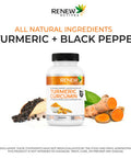 Renew Actives Turmeric Curcumin + Black Pepper - Digestive Aid, Promotes Liver Health - Wound Care - Health & Wellness Boost - 120 Capsules