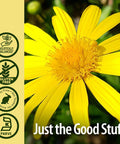 Nature'S Answer Elecampane Root with Organic Alcohol 1-Fluid Ounce | Respiratory Support | Promotes Healthy Lungs