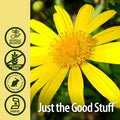 Nature'S Answer Elecampane Root with Organic Alcohol 1-Fluid Ounce | Respiratory Support | Promotes Healthy Lungs