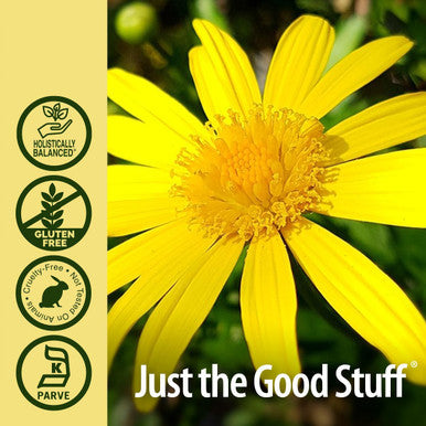 Nature'S Answer Elecampane Root with Organic Alcohol 1-Fluid Ounce | Respiratory Support | Promotes Healthy Lungs