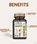 GOLD COLLAGEN Immunobiotix - Immune System Booster for More Energy & Gut Health with Vitamin D C Folic Acid Zinc Spirulina 3 Billion Biotic Cultures Vitamins for Tiredness and Fatigue 30 Tablets