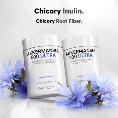 Codeage Akkermansia Muciniphila Probiotic Ultra - High-Potency 500M AFUs Akkermansia Probiotic Supplement - Enhanced Daily Probiotic & Prebiotic Chicory Inulin - 3-Month Supply - 90 Capsules