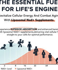 1600 Mg Liposomal Nad Supplement, 98% Pure Nad+ Supplement, Superior Absorption, Alternative To Nicotinamide Riboside Or Nadh To Boost Nad+ For Aging Defense, Energy, Longevity, 120 Softgels