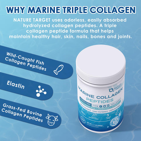 Nature Target Marine Collagen Powder For Women - Multi Collagen Peptides With Hyaluronic Acid & Vitamin C For Hair Skin Nails & Joints - Wild-Caught Fish & Grass-Fed Bovine 50 Servings