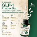 Nature'S Nutrition Akkermansia Probiotic Supplement with Prebiotic Inulin Fiber - Support GLP-1 Production Akkermansia Muciniphila Probiotic Supplement for Gut & Digestive Health Support for Women & Men 120 Capsules