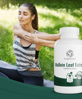 LongLifeNutri Mullein Leaf 1500Mg | 200 Vegetarian Capsules | 10:1 Extract 3000 Mg Strength | Verbascum Thapsus Pure Natural Powder | Non-Gmo Gluten Free | Made In Usa Vitamin | Herbal Supplement