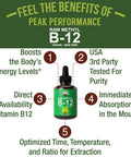 Raw Methyl B12 Liquid Drops. Sublingual Fast Acting Advanced Vegan