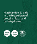 Standard Process Niacinamide B6 Whole Food Supplements