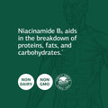 Standard Process Niacinamide B6 Whole Food Supplements
