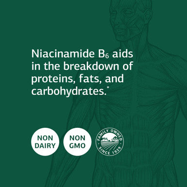 Standard Process Niacinamide B6 Whole Food Supplements
