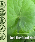 Nature's Answer Nature's Answer Af Gotu-kola Herb 1 oz