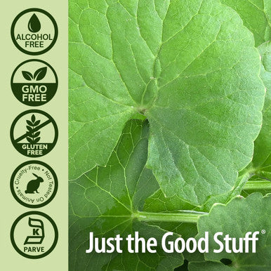 Nature's Answer Nature's Answer Af Gotu-kola Herb 1 oz