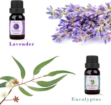 Diffuserlove Essential oils 6 Gift Set Eucalyptus, Lavender, Lemongrass, Sweet Orange, Peppermint,Tea Tree