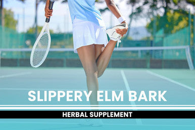 PURE ORIGINAL INGREDIENTS Slippery Elm Bark (365 Capsules) No Magnesium Or Rice Fillers, Always Pure, Lab Verified
