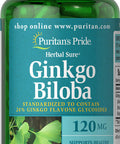 Puritan's Pride Ginkgo Biloba Standardized Extract 120 mg-100 Capsules