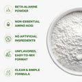 Purisure Beta Alanine Powder 1Kg Pure Beta Alanine Pre-Workout Supplement For Sustained Energy Beta Alanine Pre Workout Powder For Men And Women Alanine Supplement For Endurance 1334 Servings