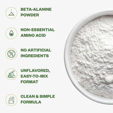 Purisure Beta Alanine Powder 1Kg Pure Beta Alanine Pre-Workout Supplement For Sustained Energy Beta Alanine Pre Workout Powder For Men And Women Alanine Supplement For Endurance 1334 Servings