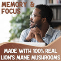 Xprs Nutra Organic Lions Mane Supplement Capsules - 180 Count (90 Day Supply) of Premium Lion's Mane Mushroom Capsules for Mental Clarity Cognition and Immunity Lions Mane Powder Capsules