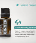 Nature s Fusions Ginger Root 100% Pure & Essential Oils 5 Fl Oz