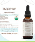 Bugleweed Usda Organic Tincture | Alcohol-Free Extract, High-Potency Herbal Drops, Respiratory System | Certified Organic Buglewe