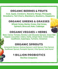 Orgain Organic Green Superfoods Powder Original Antioxidants 1 Billion Probiotics Vegan Dairy Gluten Kosher NonGMO 0.62 Pound Packaging May Vary