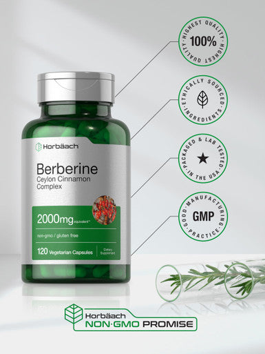 Berberine Plus Ceylon Cinnamon 2000mg 120 Veggie Capsules Vegetarian Non GMO and Gluten Free Supplement Berberine Complex by Horbaach