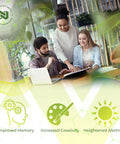 Cognance Enhanced Bacopa Capsules | 100mg | 10% Ebelin Lactone | Bacopa monnieri | Mood, Memory, & 5-HT2A Activation